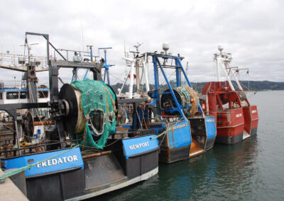 Fishing Industry Photo